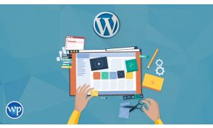 WordPress Theme Selection & Customization