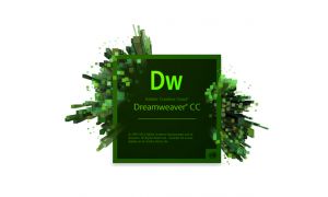  Adobe Dreamweaver CS5: Essentials