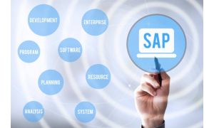 SAP For Beginners