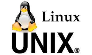 Linux and Unix Bundle 